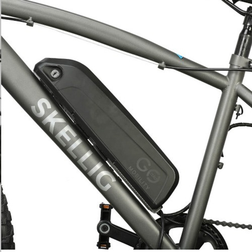 Gozero electric bike 2025