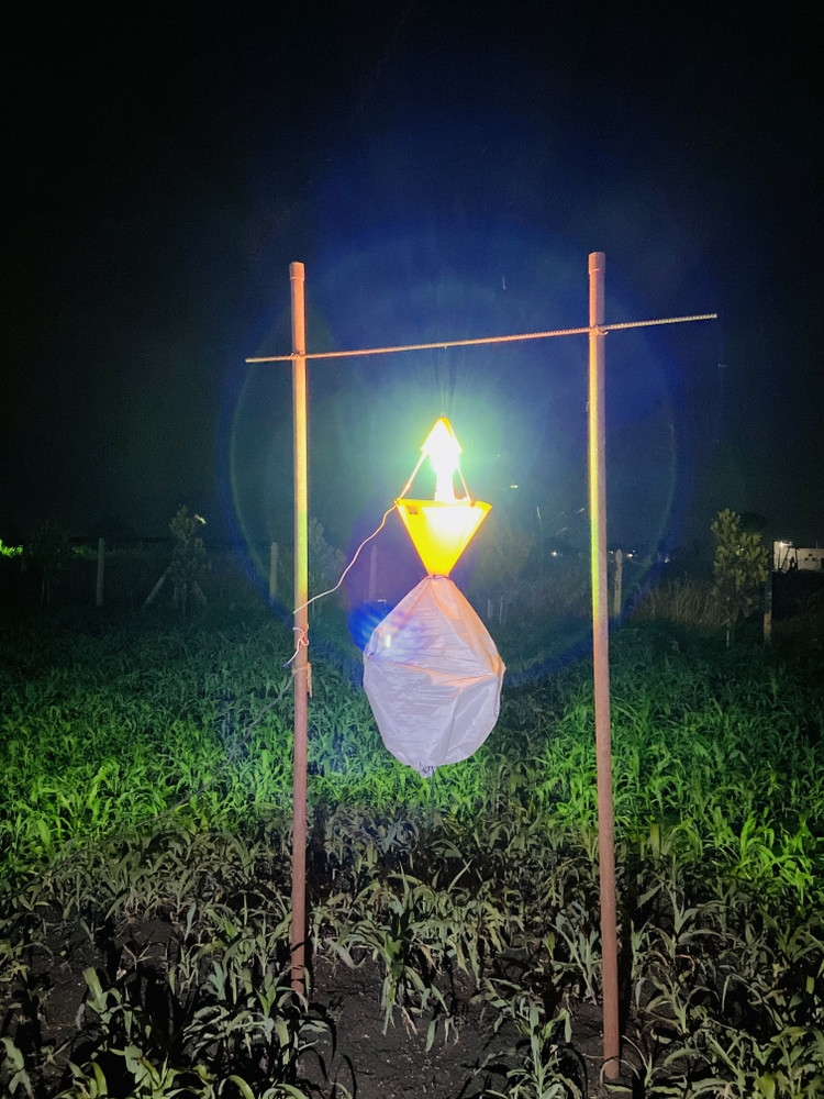 Light Trap Economy Light Trap Electric Insect Killer Outdoor Price in India  - Buy Light Trap Economy Light Trap Electric Insect Killer Outdoor online  at Flipkart.com