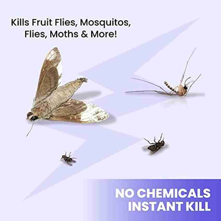 Light to store kill flies