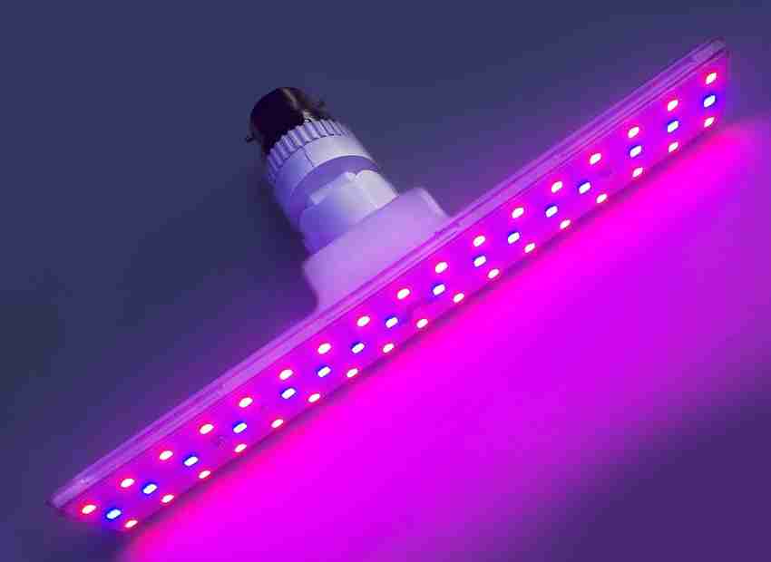 1000W LED Grow Light Full Spectrum 2023 - Luxint Lighting