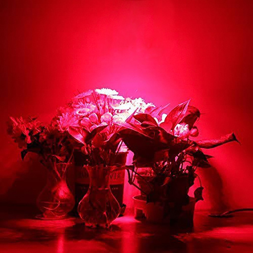 TCS TORPE 12W Plant Grow 24pcs 630 nm Full Spectrum Red LED Spot