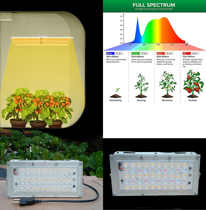 50w full spectrum shop led grow light