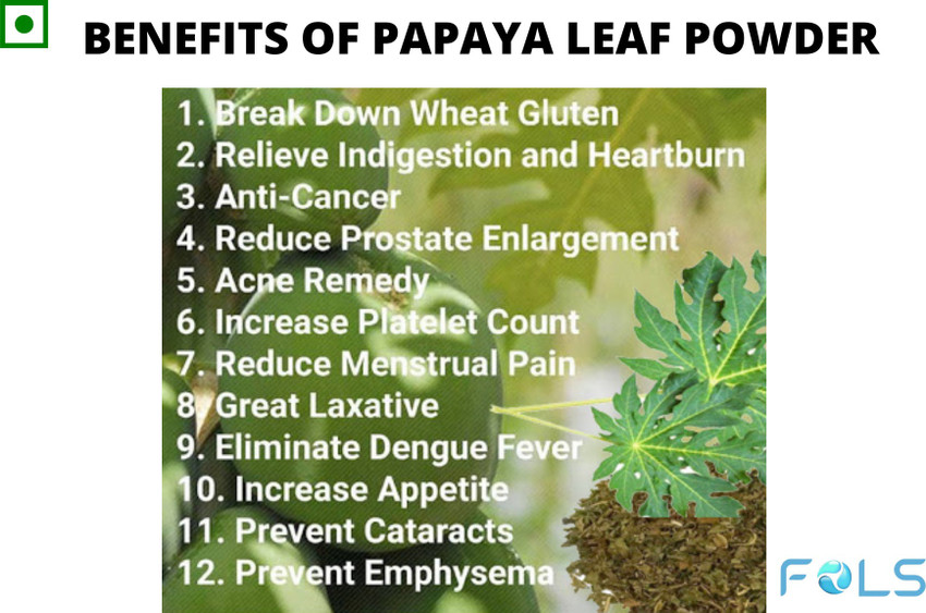 FOLS PAPAYA LEAF POWDER TEA JUICE SKIN HAIR CARE 200 GM Nutrition Drink Price in India Buy FOLS PAPAYA LEAF POWDER TEA JUICE SKIN HAIR CARE 200 GM Nutrition Drink online