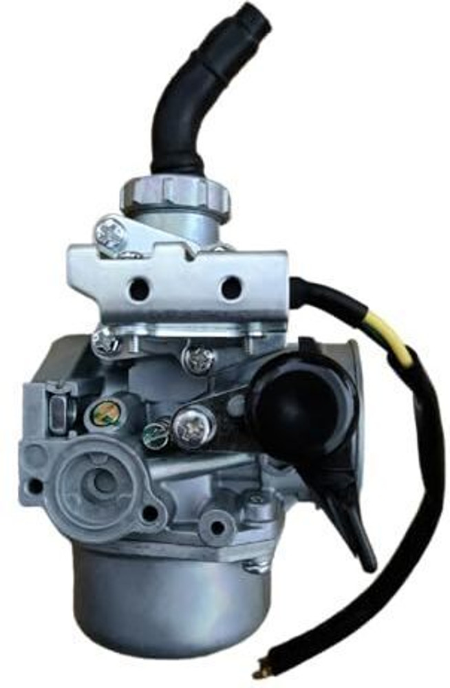 Carburetor passion pro 2025