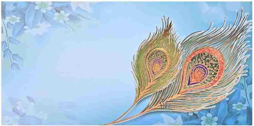 Peacock Feather Best Quality at Rs 700/pack