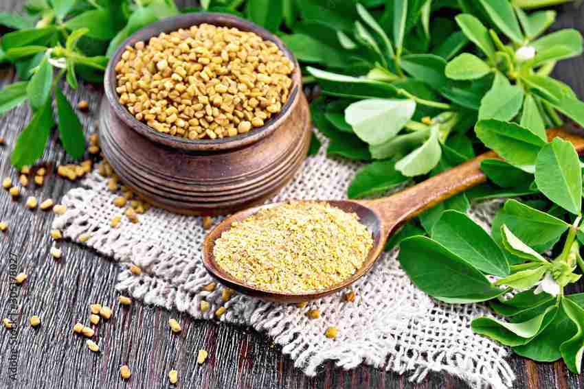 Natural Health and Herbal Products Fenugreek Seeds Powder For Hair Growth ,  Weight Loss and Skin Care(Face Mask) - LoveLocal