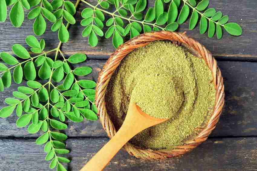 Natural Health and Herbal Products Moringa Powder Moringa Oleifera For Skin Care Face Mask Hair Growth and Juice Price in India Buy Natural Health and Herbal Products Moringa Powder Moringa Oleifera F...