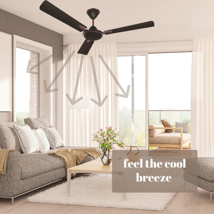 Best Ceiling Fan For Large Living Room India | Shelly Lighting