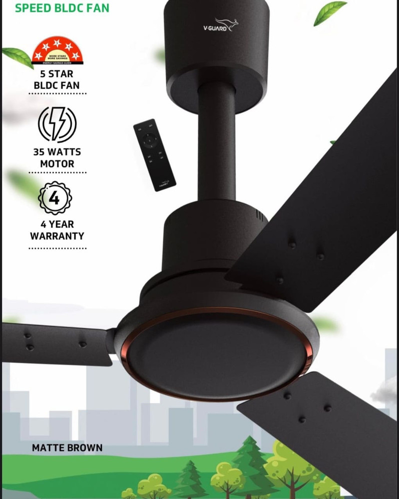 Ceiling Fan With Bldc Motor India Shelly Lighting