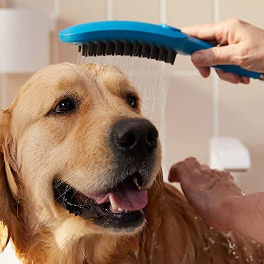 Dog shower 2025 head spray