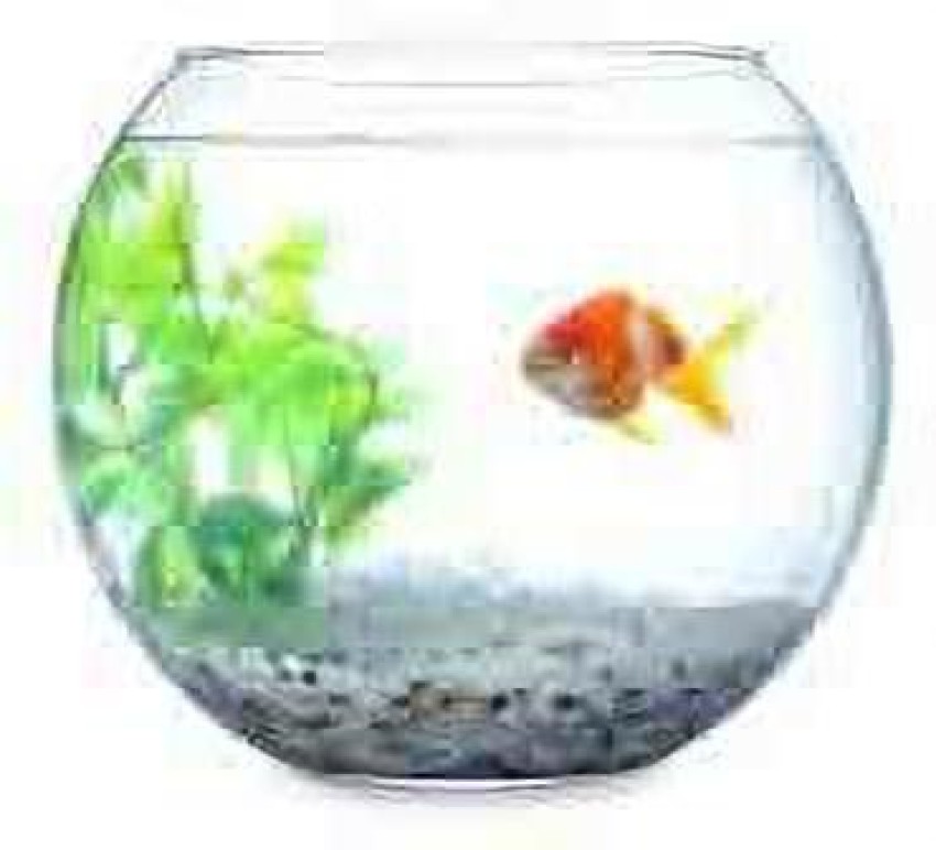 5 litre hotsell fish bowl