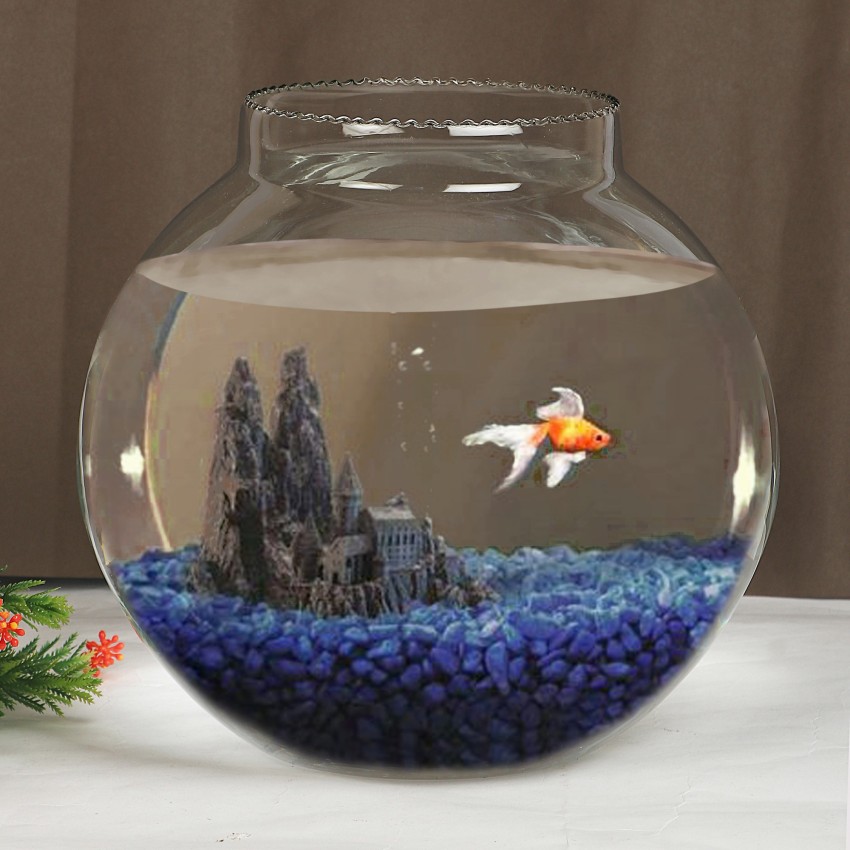 Clovefry 5.2 L Fish Bowl Price in India - Buy Clovefry 5.2 L Fish