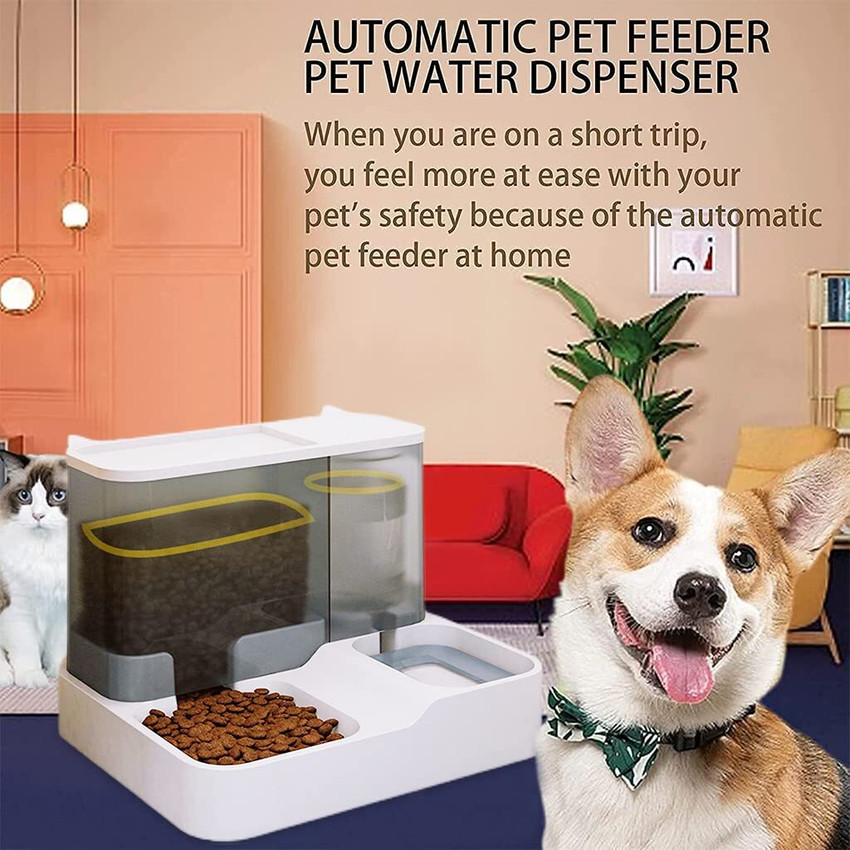 Q pets automatic pet feeder sales manual