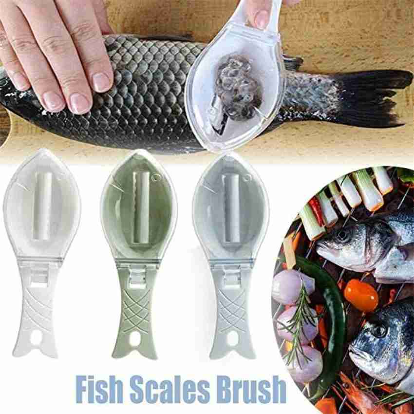 AK ULTIMATE fish scale_1 Fish Scaler Price in India - Buy AK ULTIMATE fish  scale_1 Fish Scaler online at