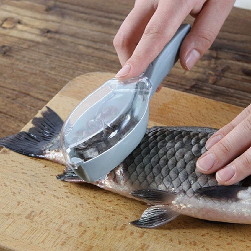 MILLENSIUM Fish Scale Scraper Sawtooth Descaler Cleaner Brush Shaver  Remover Knife Peeler Fish Scaler Price in India - Buy MILLENSIUM Fish Scale  Scraper Sawtooth Descaler Cleaner Brush Shaver Remover Knife Peeler Fish