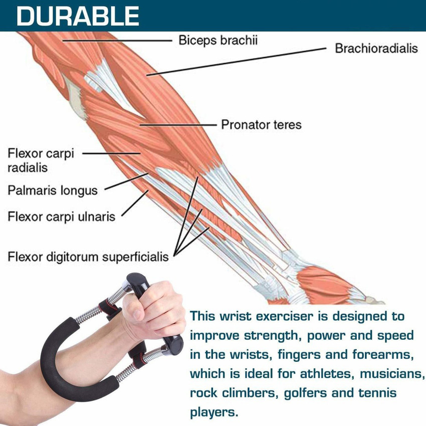 Forearm wrist hotsell