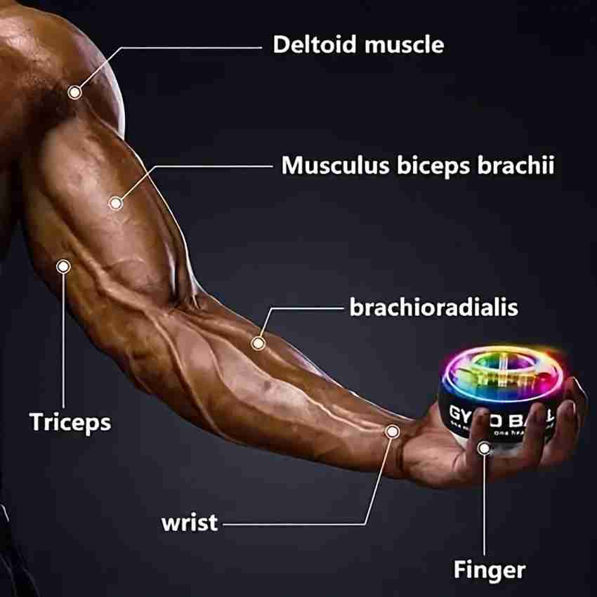 GJSHOP Gyro Ball Hand Grip Strengthener for Fitness Training Build Stronger Wrists Hand Grip Fitness Grip Buy GJSHOP Gyro Ball Hand Grip Strengthener for Fitness Training Build Stronger Wrists Hand Gr...