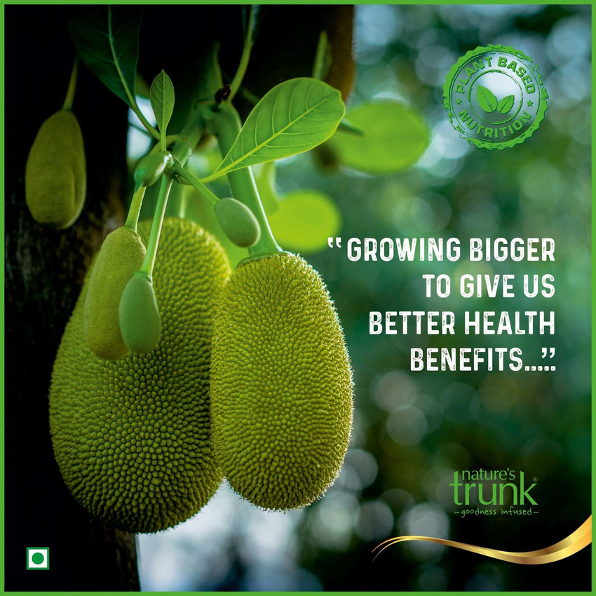 Aggregate 141+ jackfruit benefits for hair super hot camera.edu.vn