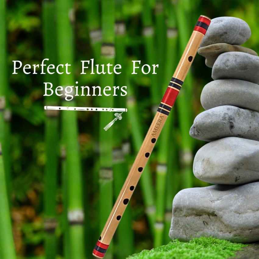 Cost of deals flute for beginners