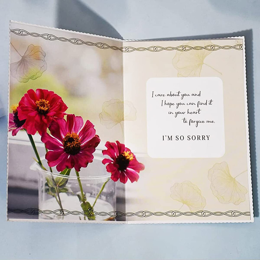 Sorry Gift for Girlfriend Boyfriend Firends Combo Price in India