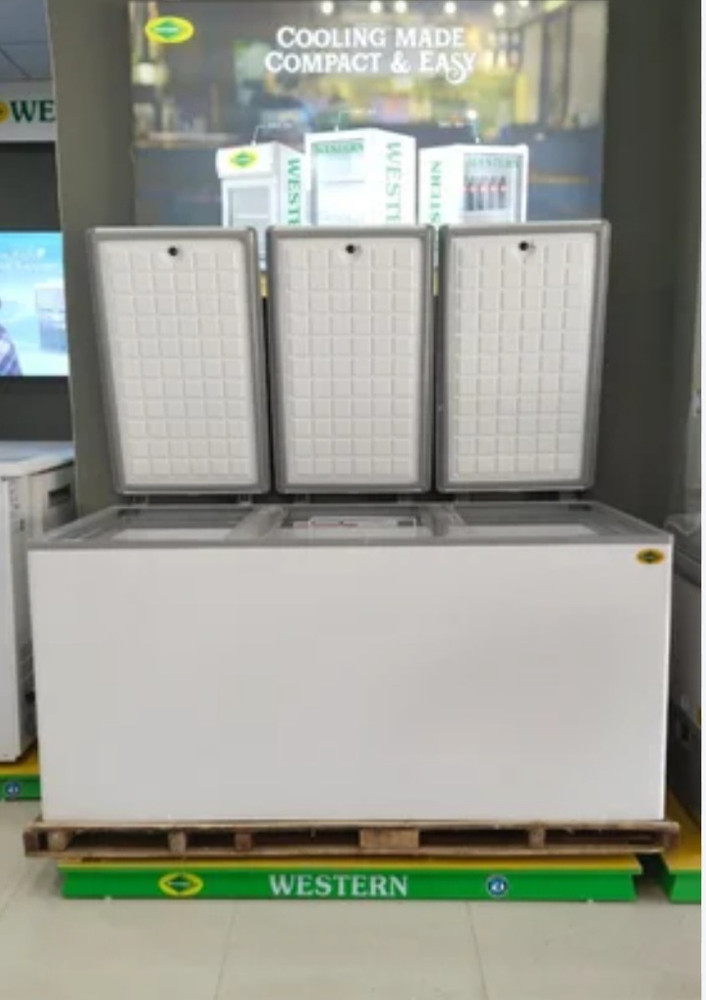 Western 825 deals deep freezer
