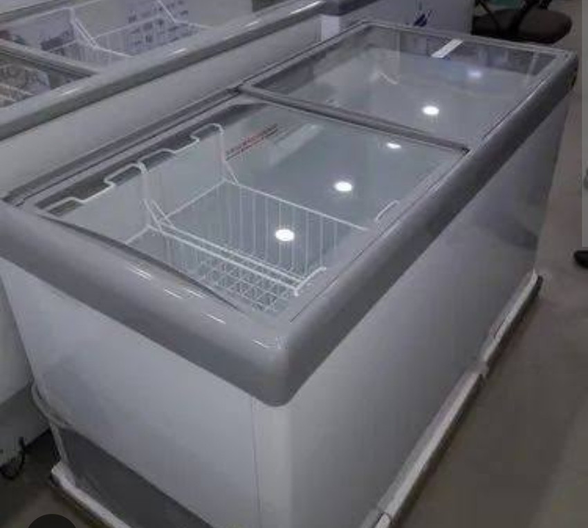 WESTERN 444 L Double Door Standard Deep Freezer