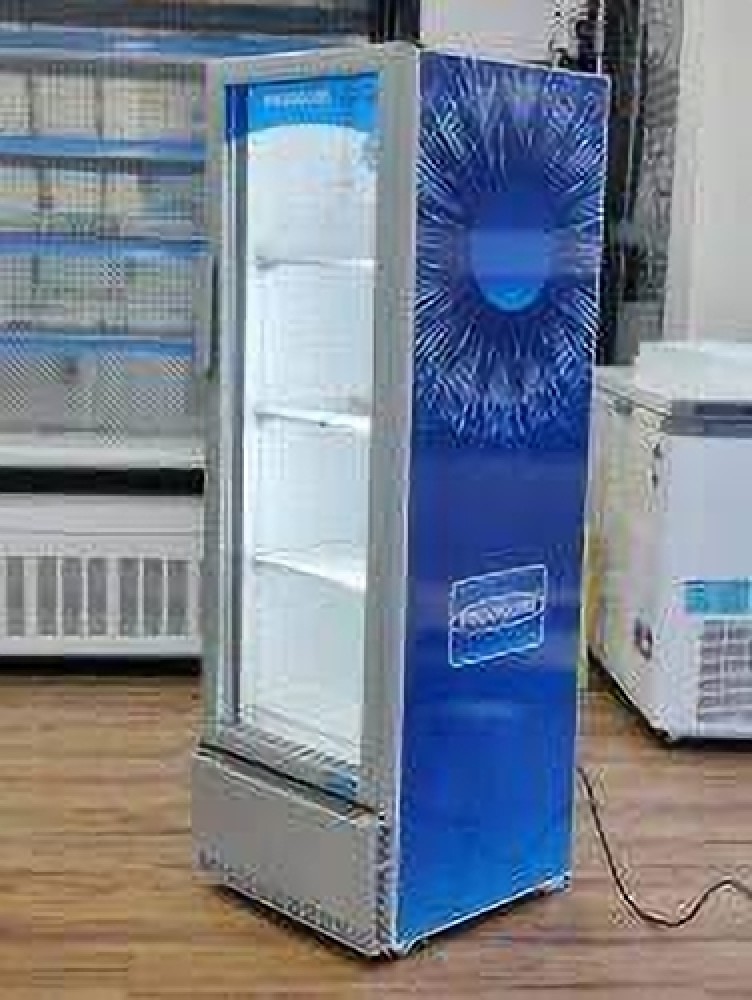 FRIGOGLASS 294 L Single Door Upright Freezer Price in India