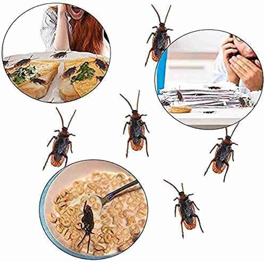 Fake cockroach toy 2025