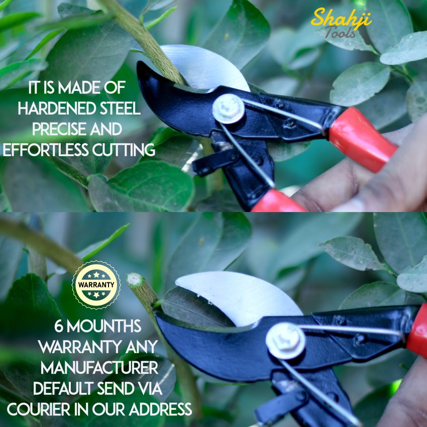 LONG NOSED SECATEURS Gardening Accuracy Leaf Snipping Trees Shrubs