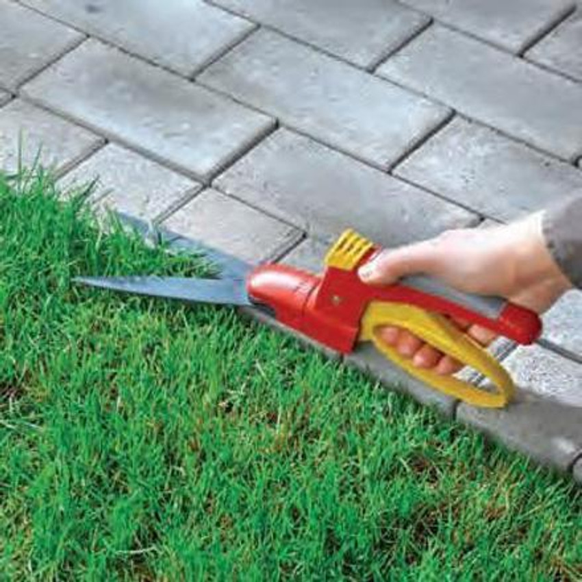 Grass trimming best sale
