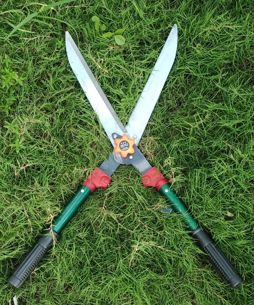 Grass scissors price hot sale