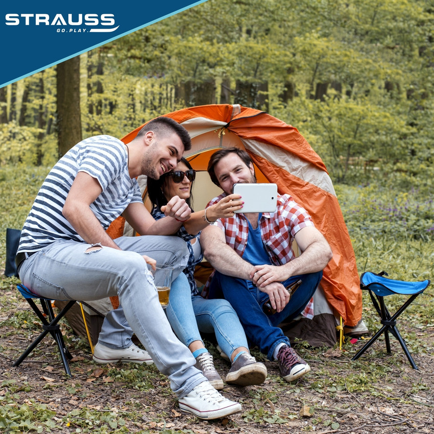 Portable picnic chair on sale