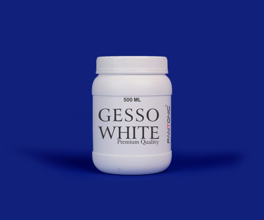 Camlin ARTISTS WHITE GESSO PRIMER (500ML) White Gesso for Canvas