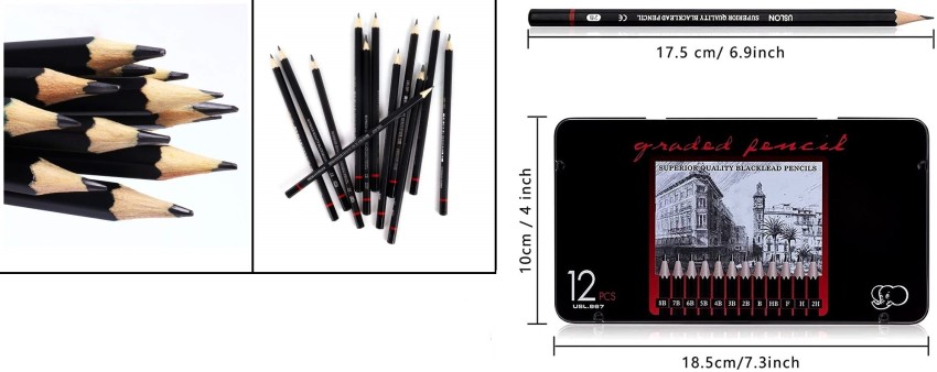 ChiggiWiggi 12 Artist Graphite Drawing Pencil Set for Sketching and Drawing  With Case and 6 Blending/Smudging Stumps (Size 1-6) + 1 Art Eraser + 1 Sand  Paper Strip + 1 Pencil Extender Double Sided : : Home & Kitchen
