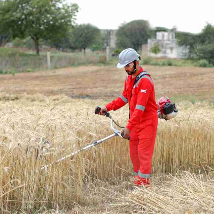 Cutter grass store