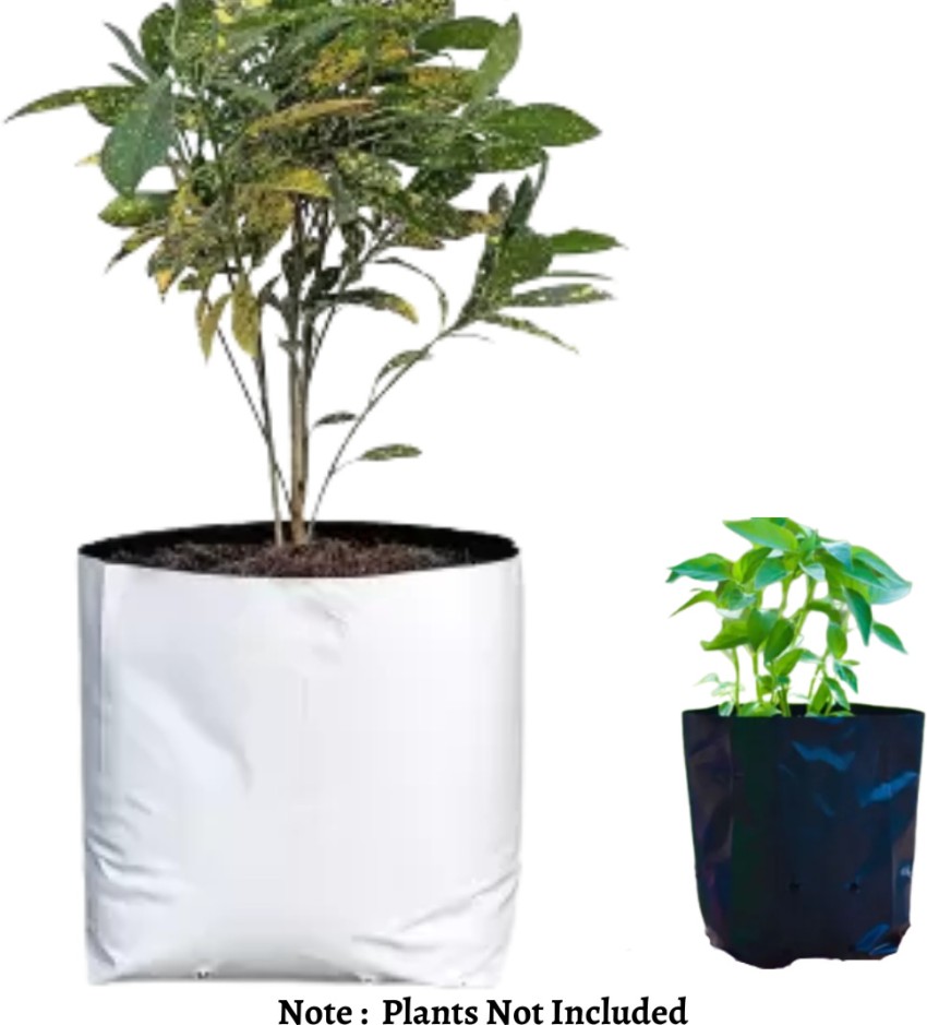jayareddys Terrace Gardening leafy 24x8 inches (pack of4) growbags Grow Bag  Price in India - Buy jayareddys Terrace Gardening leafy 24x8 inches (pack  of4) growbags Grow Bag online at