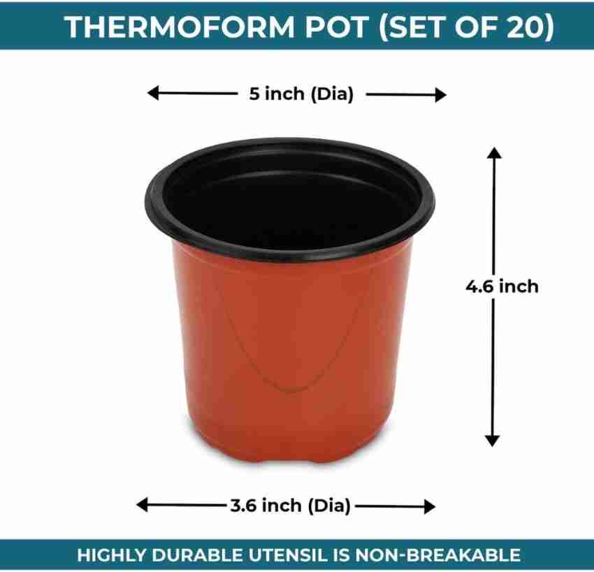 Optimal Grow Bag Sizes for Vegetables, Herbs, and Fruits - Organicbazar Blog