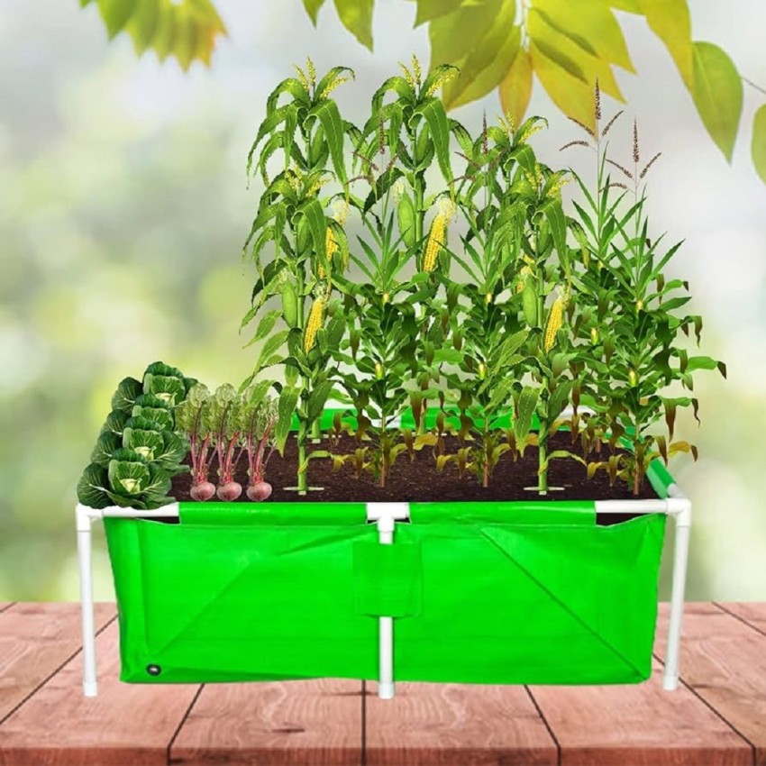 https://rukminim2.flixcart.com/image/850/1000/xif0q/grow-bag/q/r/r/green-grow-hdpe-plant-vegetable-grow-bags-with-1-5-supporting-original-imagvg7ygrkqjp4e.jpeg?q=90