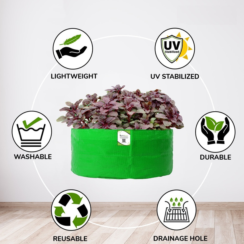 Top 161+ big grow bags esthdonghoadian