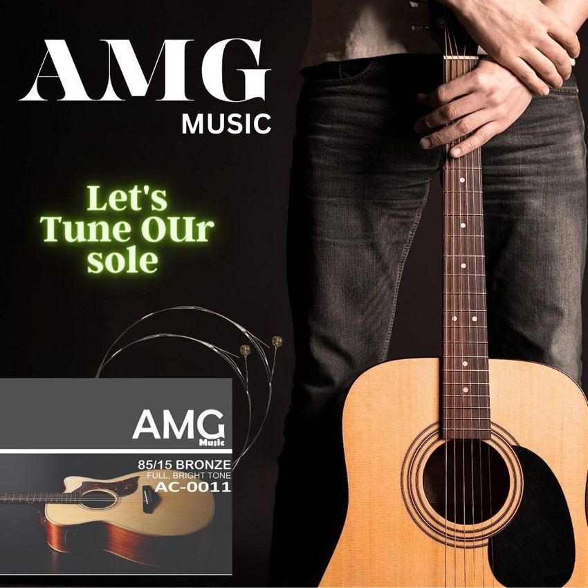 AMG Music Acoustic Guitar B 2nd String Set Of 5 Stainless Steal