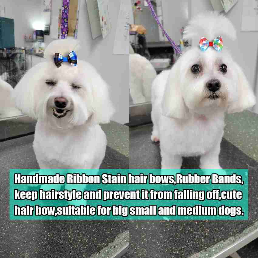 PETANGEL 40Pcs Dog Cat Girl Hair Bows with Rubber Bands Hair Clip