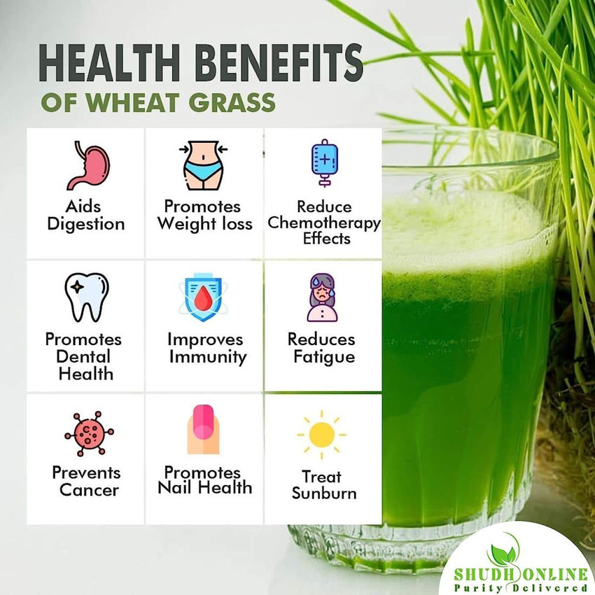 Wheatgrass benefits for hair top