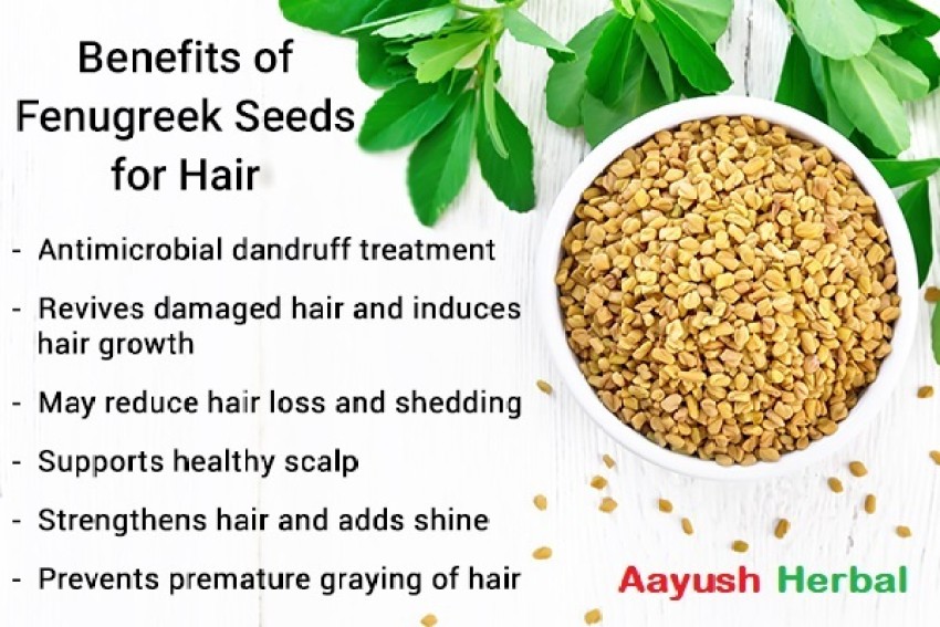 Top 155 Methi Powder Benefits For Hair Latest Vn 7591