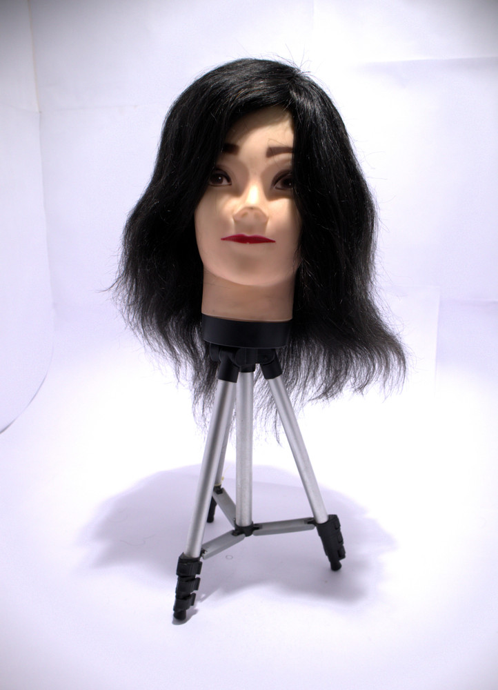 RIDHI INDUSTRIES WIG HOUSE Medium Hair Wig Price in India Buy