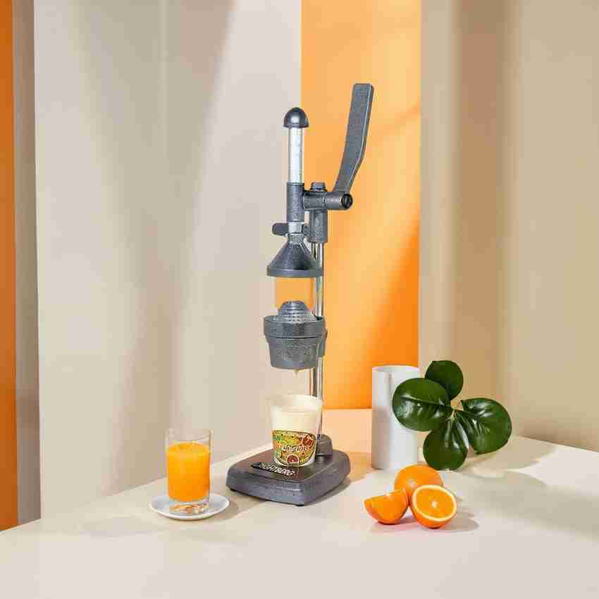 Mechanical juicer store