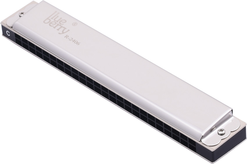 BLUEBERRY R 2406 Advanced Tremolo Mouth Organ Harmonica 24 Holes