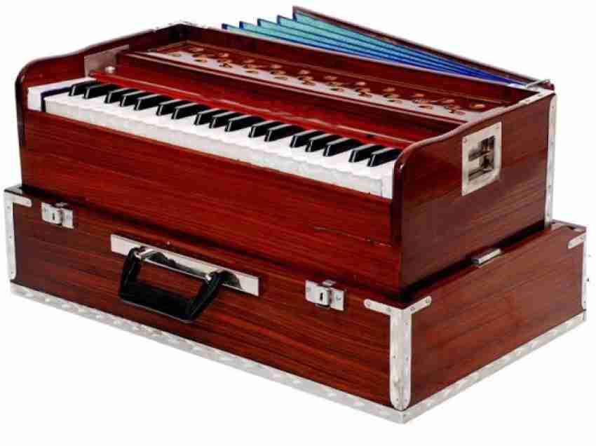 2 reed shop harmonium price