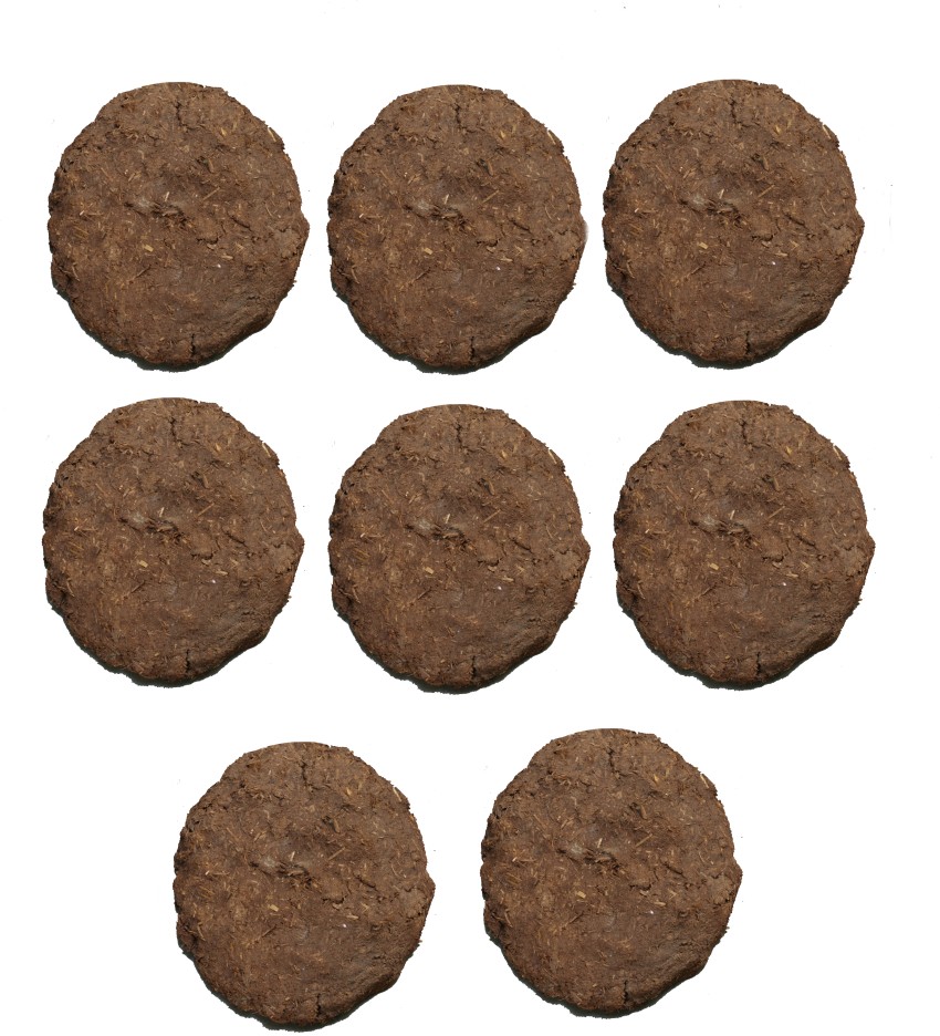 Buy Green Roots Pure Desi Cow Dung Cakes - Organic, Eco-Friendly, Natural  Fertiliser, Chemical Free, Diameter 8 Cm Online at Best Price of Rs 179 -  bigbasket