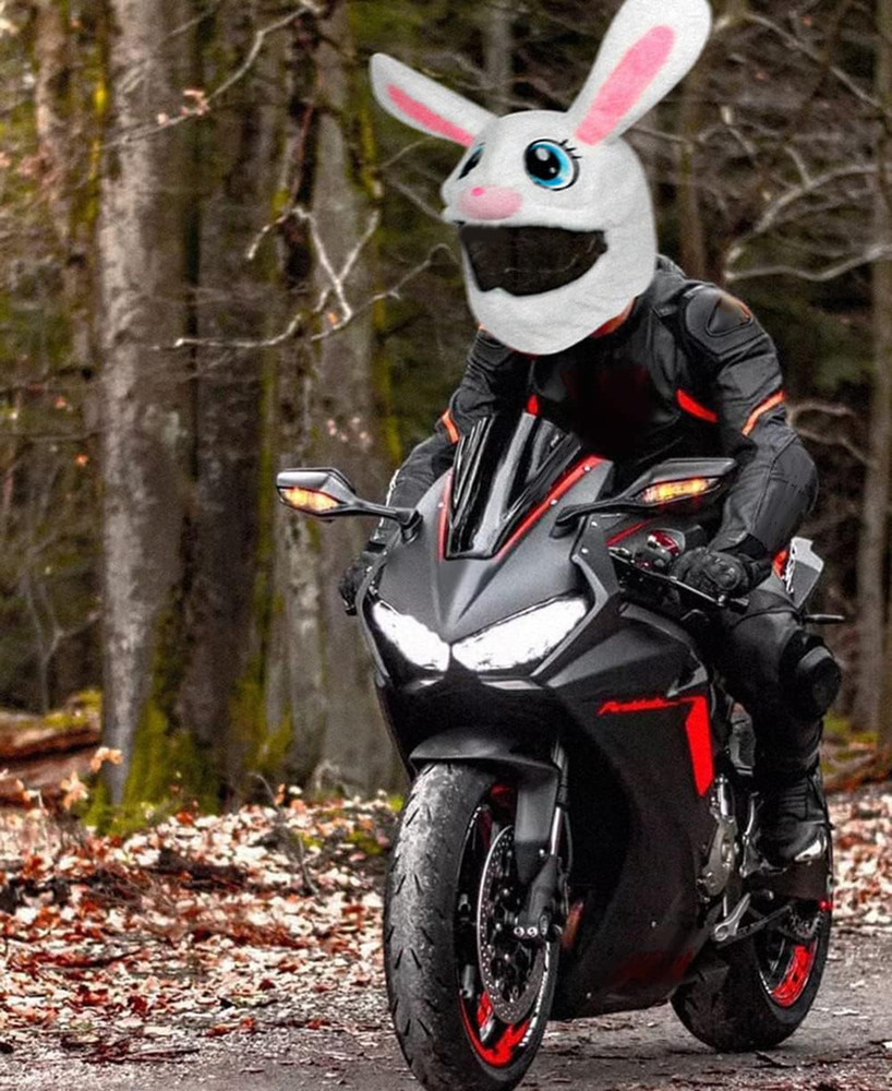 Bunny ears motorcycle helmet online