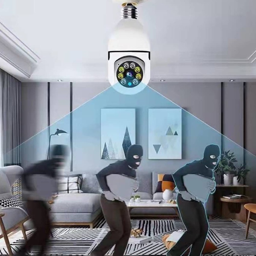 home interior cameras